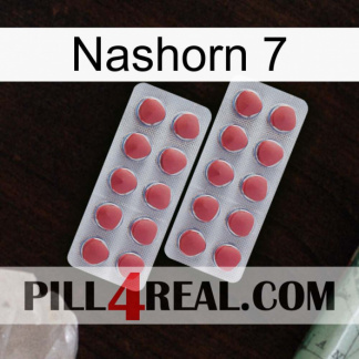 Rhino 7 19
